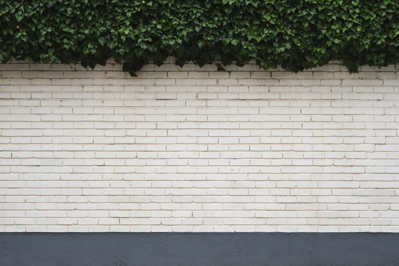 Completed Ivy Removal on Building Facade