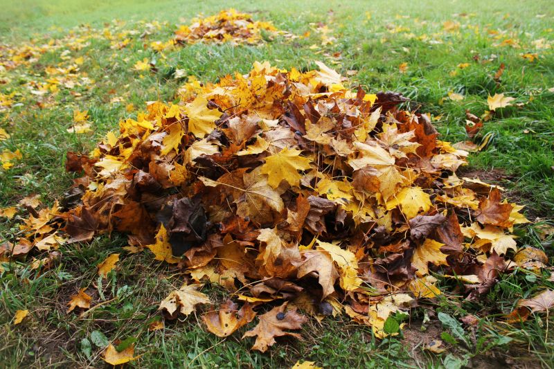 Leaf Mulching