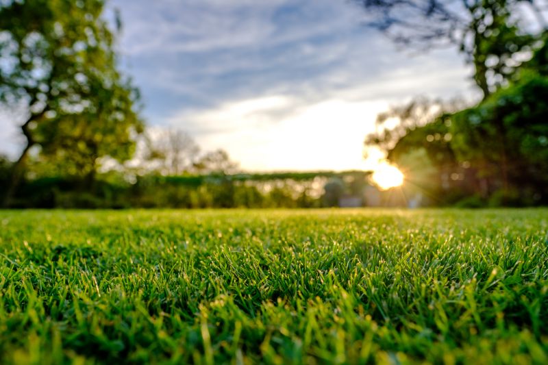 Lawn Topdressing in Honolulu, HI