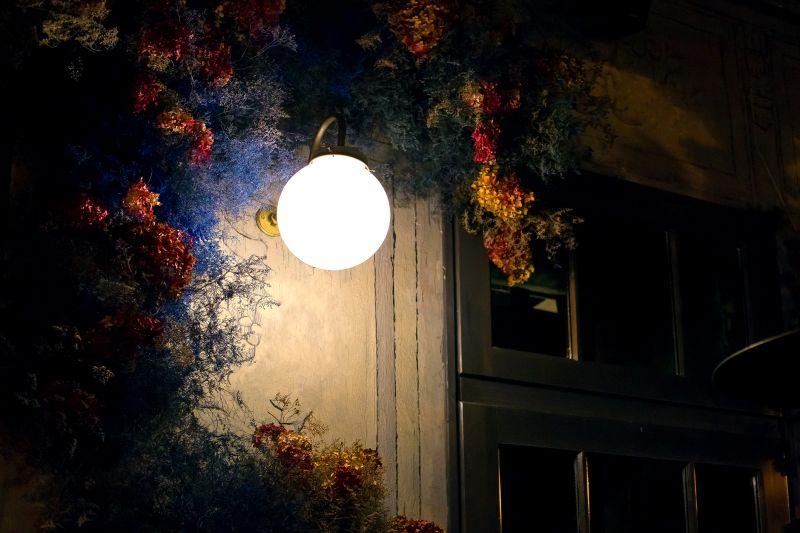 Outdoor Lamp Installation in Olathe, KS