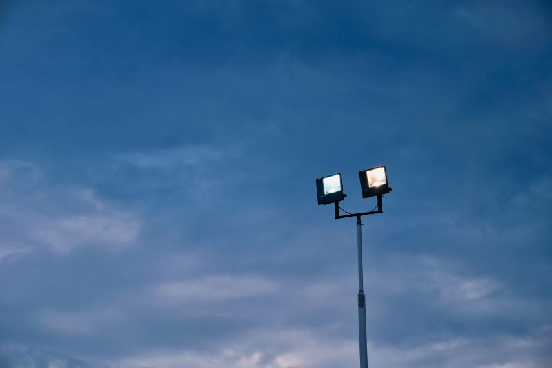 Outdoor Lighting Installation in Alpharetta, GA