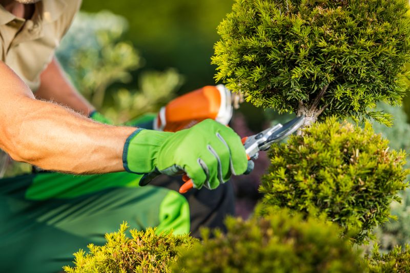 Specialized Landscaping Teams
